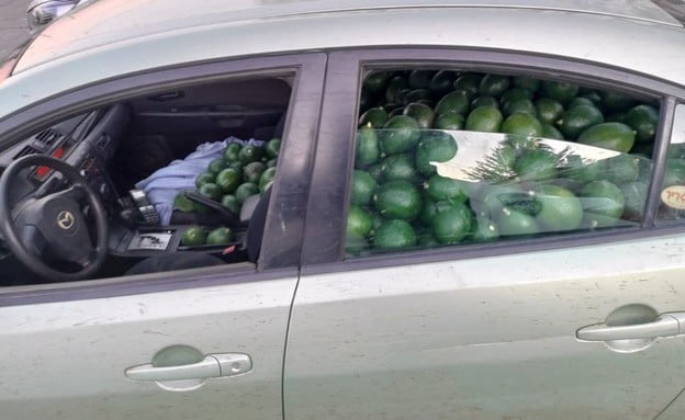 Des primeurs volent des centaines de kilos de produits dans les domaines agricoles en Israël