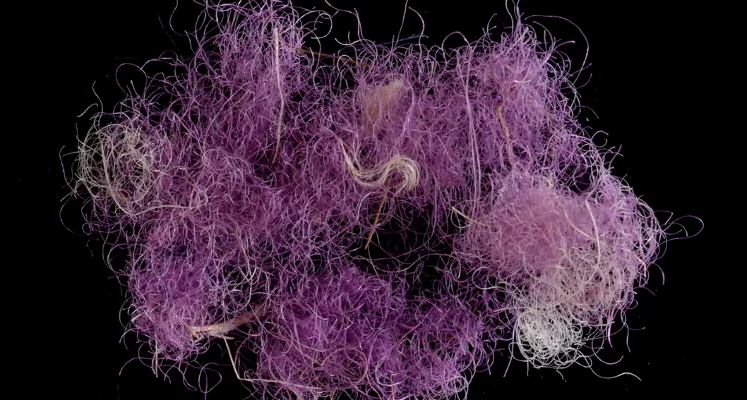 Des textiles de couleur violette, datant d'environ 1 000 av. J.-C., ont été retrouvés pour la première fois au Levant, dans la région de la vallée de Timna, au sud d'Israël.