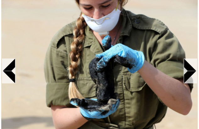 Marée noire en Israël : le drame écologique en images