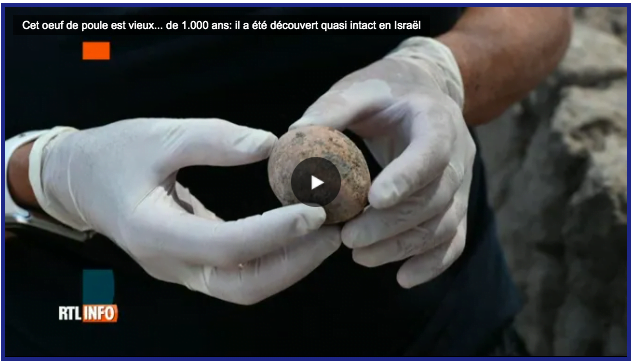Oeuf poule israel