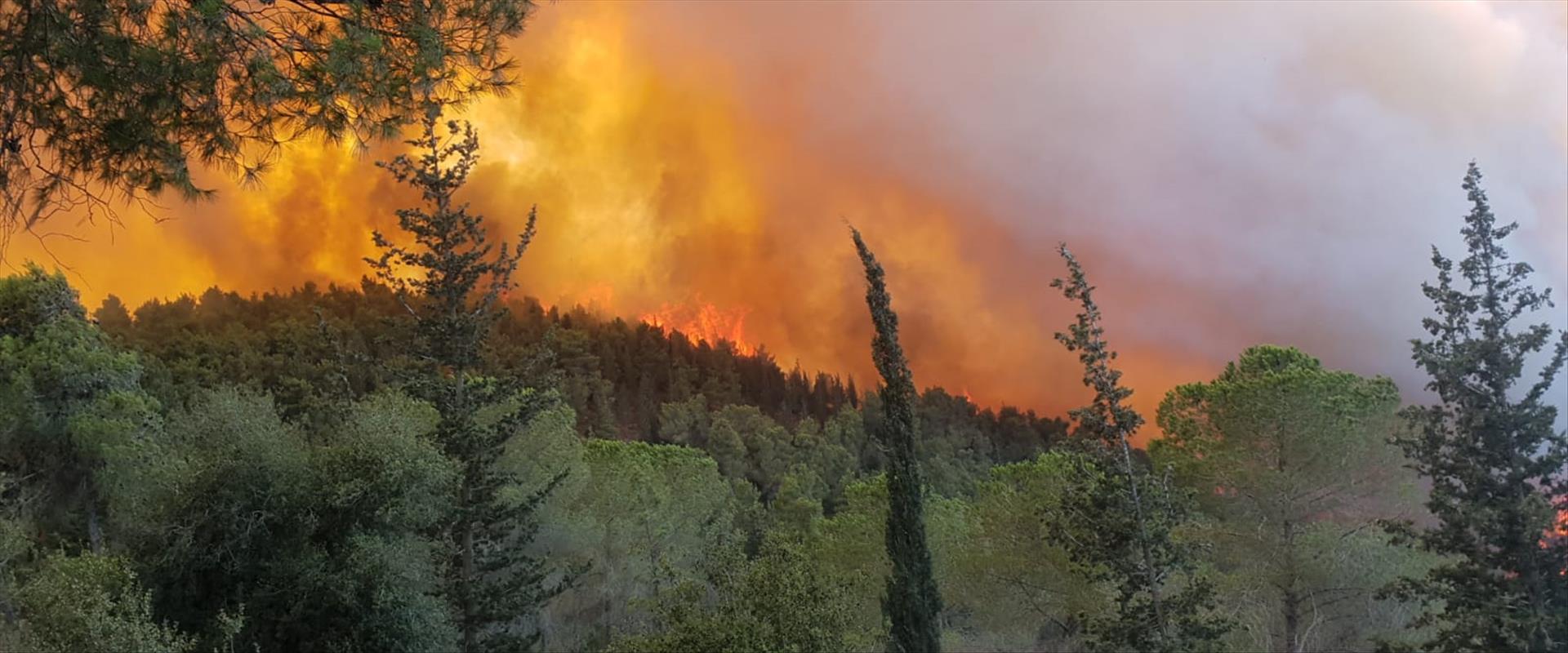 Israël : ce n'est pas le réchauffement climatique qui a provoqué l'incendie à Jérusalem -vidéos-