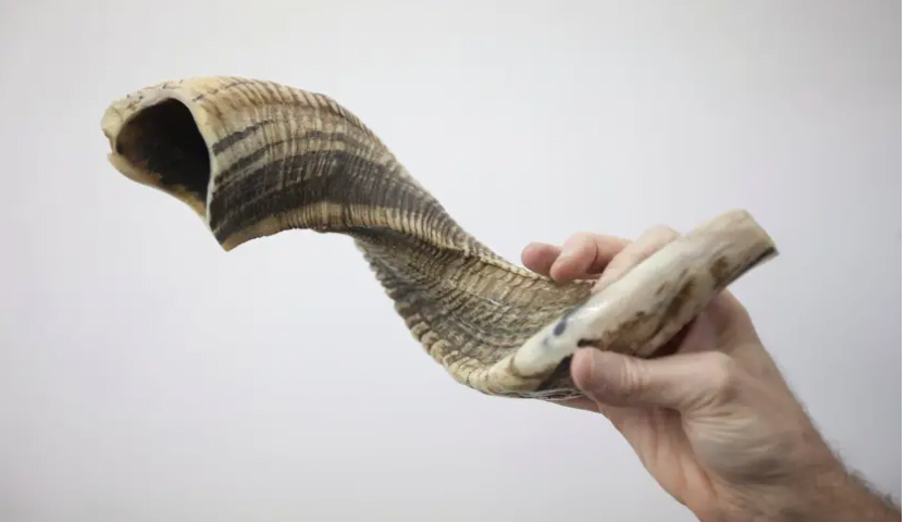 Pourquoi le nouvel an juif est célébré le 7ème mois de l'année ?