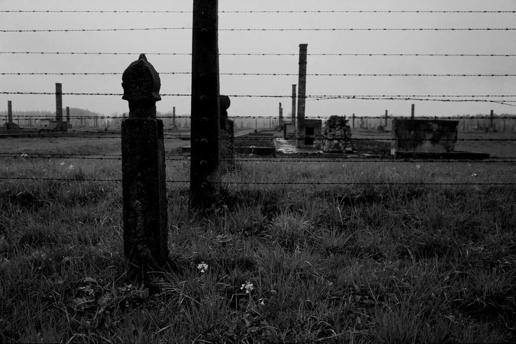 Artiste juive : Susan May Tell et Auschwitz