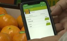 Innovation israélienne : une seule photo et vous saurez si vos fruits sont mûrs
