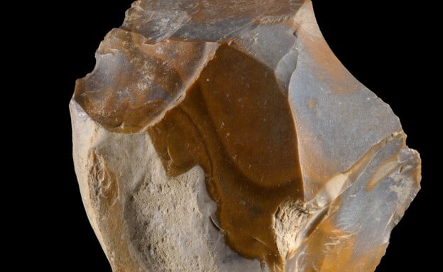 Archéologie : un os vieux d'un million et demi d'années découvert en Israël