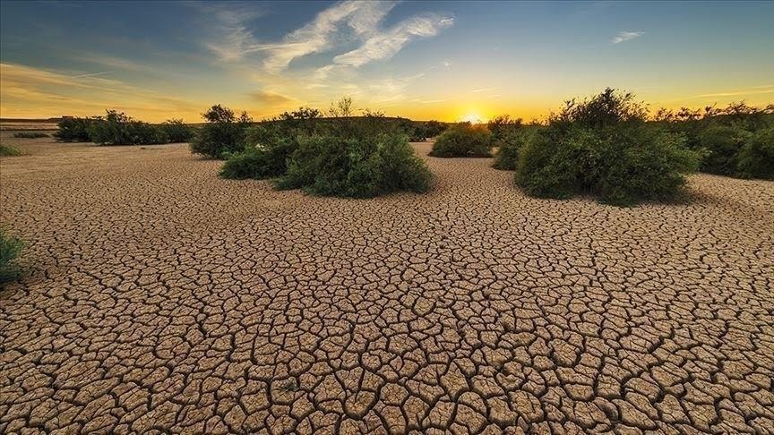 Faire face au changement climatique grâce à la pensée environnementale juive