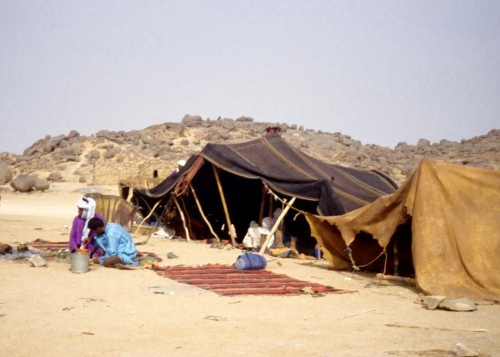 Lettre ouverte aux Arabes de « Palestine»