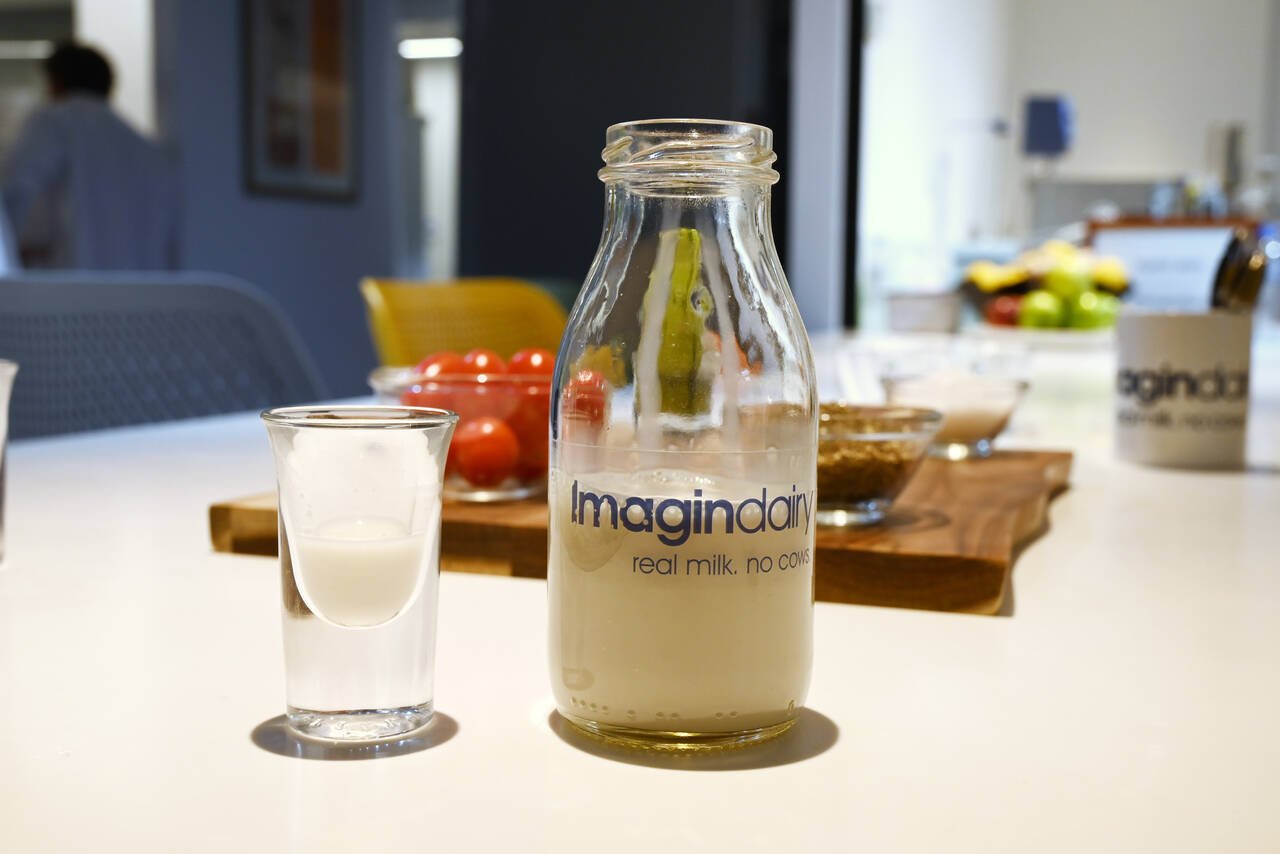 J’ai bu du bon lait en Israël, qui n’a jamais vu le pis d’une vache