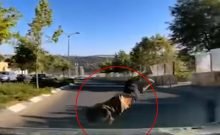 Miracle à Jérusalem : un gamin de 4 ans projeté par un véhicule se relève -vidéo -