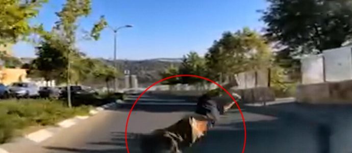 Miracle à Jérusalem : un gamin de 4 ans projeté par un véhicule se relève -vidéo -