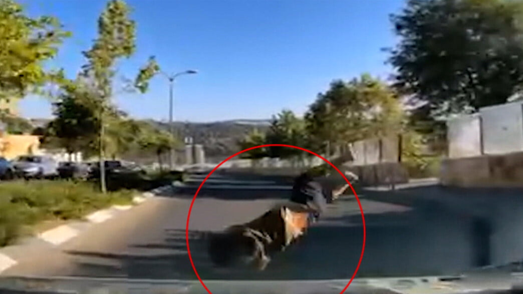 Miracle à Jérusalem : un gamin de 4 ans projeté par un véhicule se relève -vidéo -