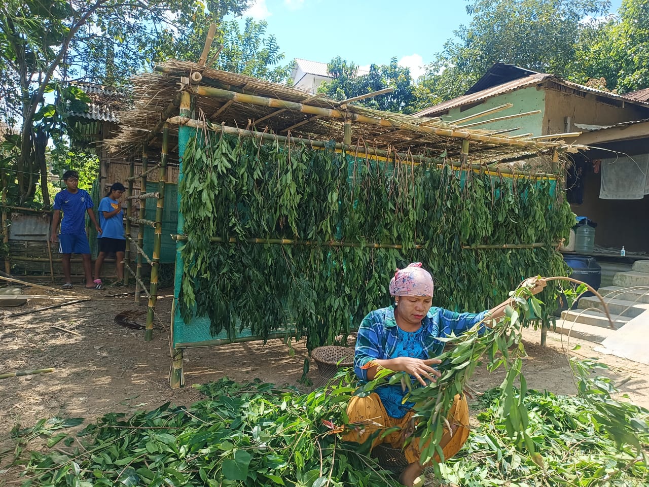 Les Juifs Bnei Menashe d'Inde construisent leur soucca