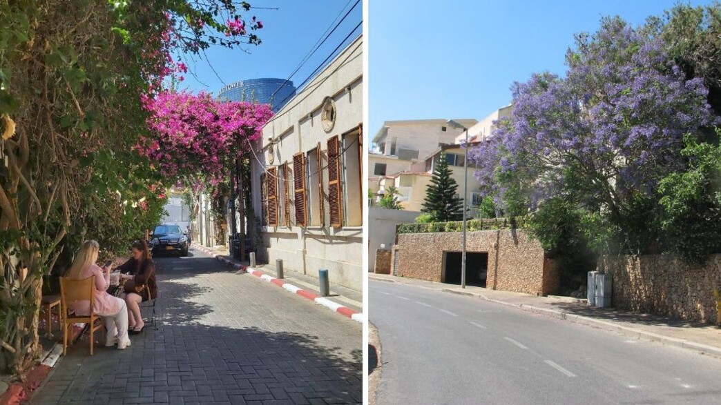 Les Quartiers Dangereux d'Israël : Êtes-vous Vraiment en Sécurité Chez Vous ?