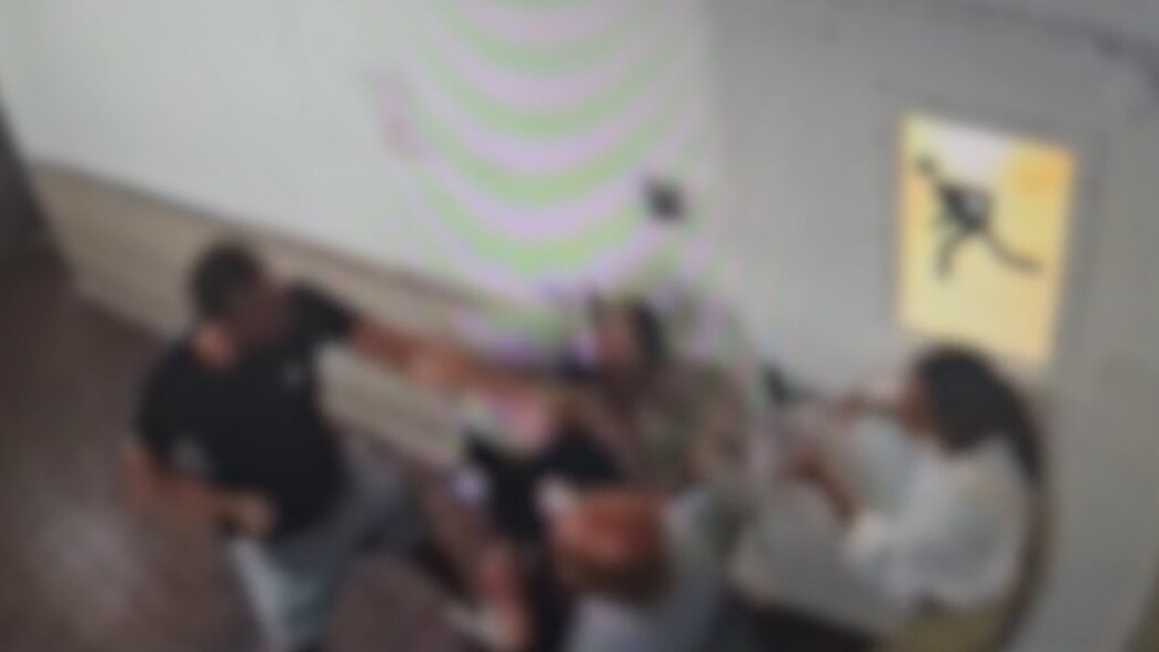 Tel-Aviv - Un individu attaque des agents de sécurité après des actes indécents -vidéo-