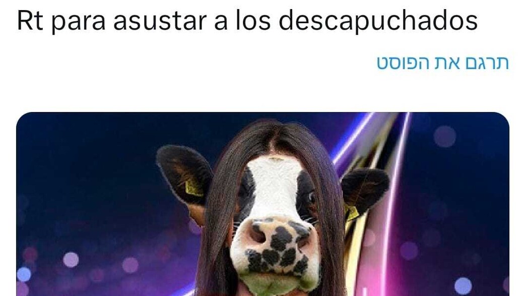 Un journaliste de l'Eurovision : “Le fait que je compare les juifs à des animaux n’est pas de l’antisémitisme.”