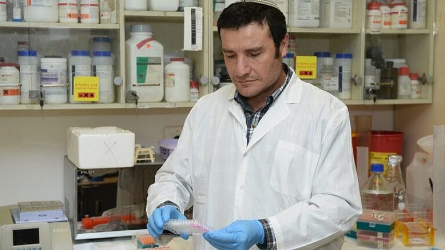 Israël révolutionne la longévité : la protéine Sirt6, découverte majeure de Bar-Ilan