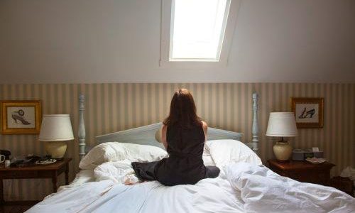 Hotels du nord et d’ailleurs : Danielle L. Goldstein 