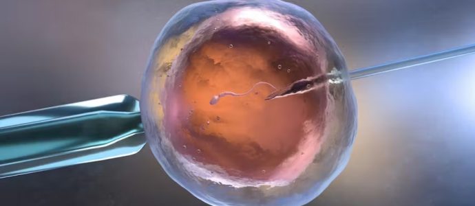 Doubler les chances de vie : la révolution israélienne de la fécondation in vitro
