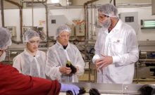 Israël : Découvrir enfin pourquoi l’aubergine prend le goût du foie dans cette usine unique au monde