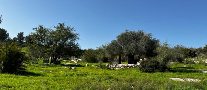 Neot Kedumim : le lieu où la Bible se touche, se marche et se presse et les anti-israël se taisent -vidéos