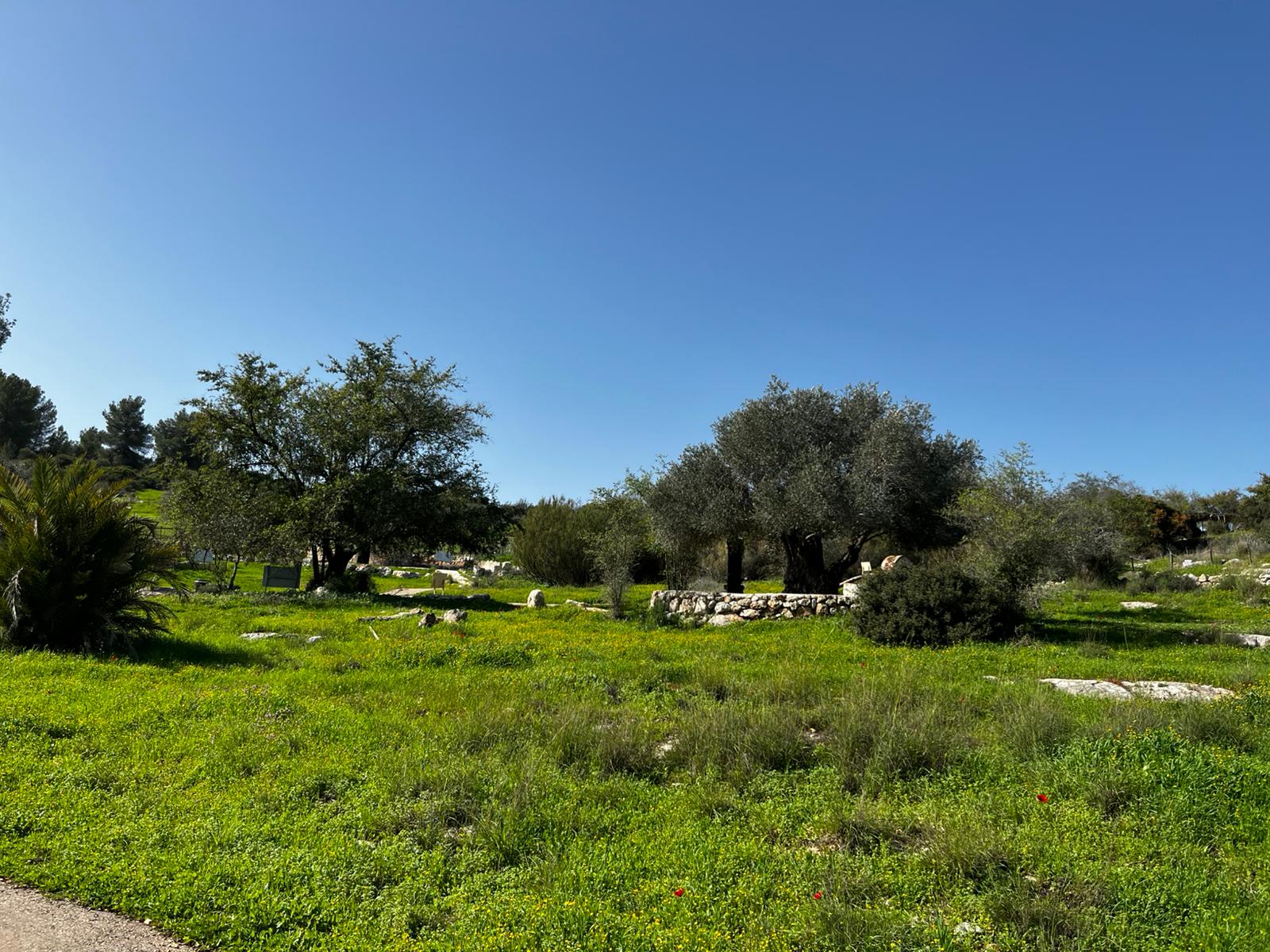 Neot Kedumim : le lieu où la Bible se touche, se marche et se presse et les anti-israël se taisent -vidéos