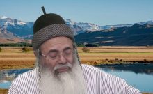 « Si la Torah craignait l’intelligence, elle n’aurait pas survécu. »