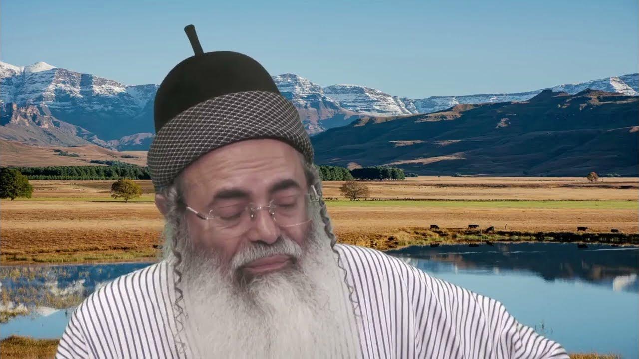 « Si la Torah craignait l’intelligence, elle n’aurait pas survécu. »