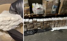 25 kilos de “cocaïne” au sucre même la police israélienne piégée , séisme chez les criminels