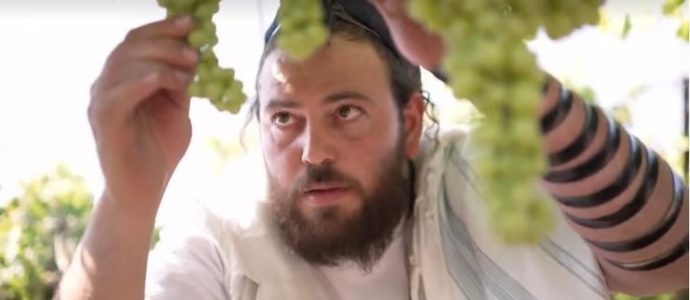L'audace du don : 30 dunams offerts aux plus démunis, ces nouveaux agriculteurs israéliens