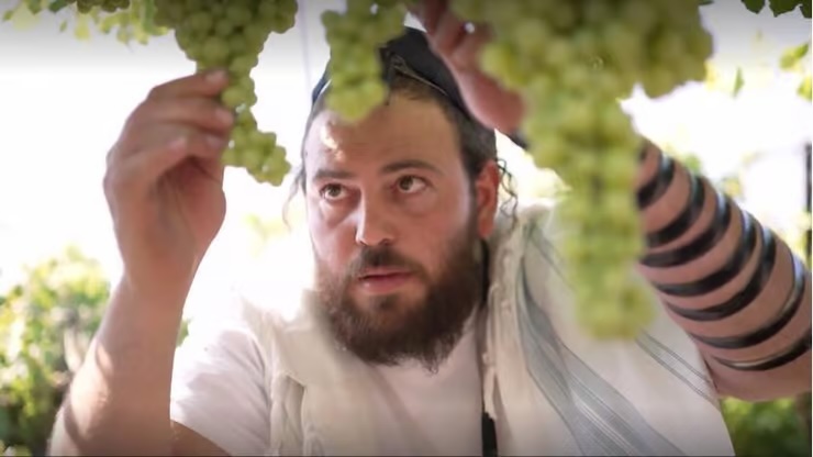 L'audace du don : 30 dunams offerts aux plus démunis, ces nouveaux agriculteurs israéliens