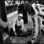 Le New-York de William Meyers 