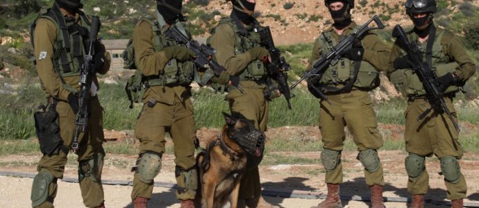 Drones du Hezbollah : Quand un chien vaut mieux qu'un radar l'innovation de Tsahal