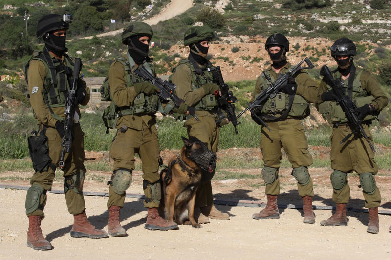 Drones du Hezbollah : Quand un chien vaut mieux qu'un radar l'innovation de Tsahal
