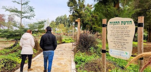 Sionisme 2.0 : le kibboutz high-tech qui veut changer la carte d'Israël