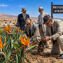 Comment ces fleurs "oiseaux de paradis "ont scellé le destin d'Israël en 1947