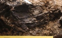 Jerusalem : Les poutres carbonisées du Premier Temple exhumées après 26 siècles