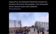 Un ex-collaborateur de Sébastien Delogu pour apologie du terrorisme après le 7 octobre