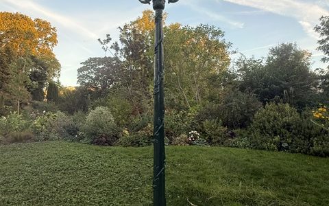 Allée Shiri, Ariel et Kfir Bibas : Paris grave leurs noms au cœur du parc Monceau