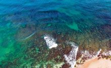 Sulfate de cuivre en Méditerranée : l'expérience secrète de l'Autorité de l'eau coûte 5 millions de shekels