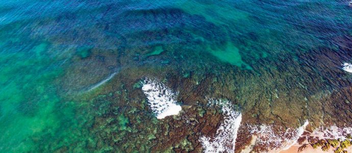 Sulfate de cuivre en Méditerranée : l'expérience secrète de l'Autorité de l'eau coûte 5 millions de shekels