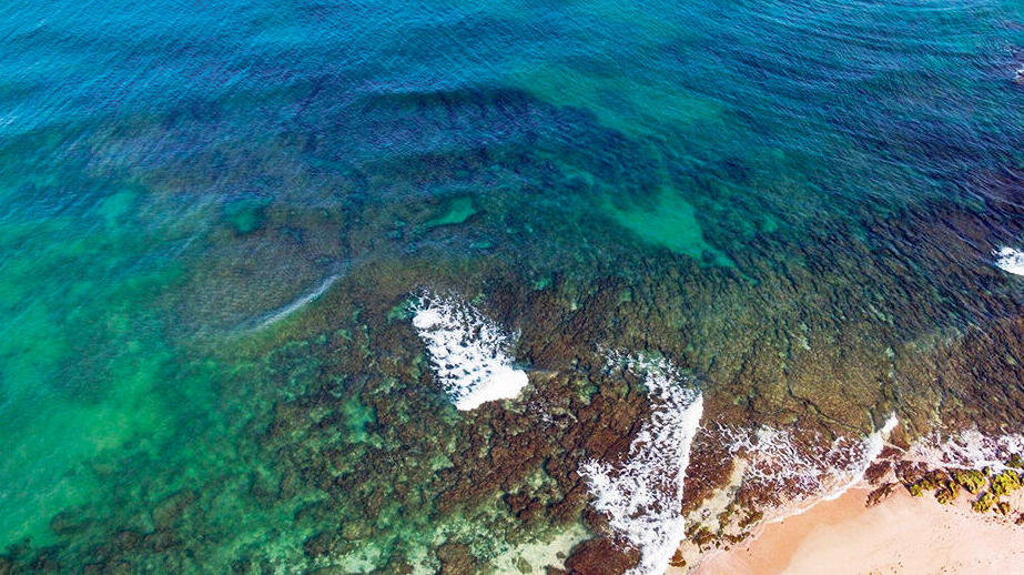 Sulfate de cuivre en Méditerranée : l'expérience secrète de l'Autorité de l'eau coûte 5 millions de shekels