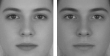 Regardez ces deux visages : qui est la fille, qui est le garçon ?