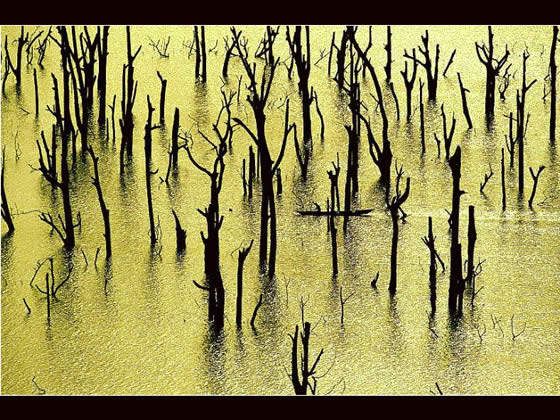 Le Monde vu du ciel n°9