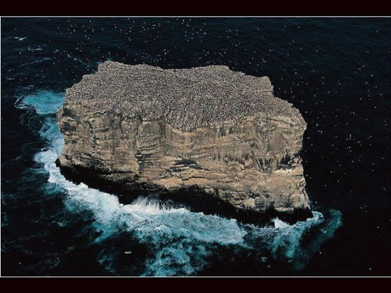 Le Monde vu du ciel n°25