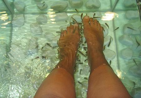 J'ai testé la fish pedicure !