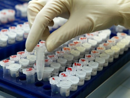 Sciences: L'intelligence expliquée à 50% par la génétique
