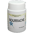 bourrache.gif