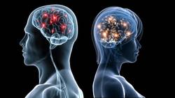 Le cerveau des hommes et celui des femmes sont connectés différemment