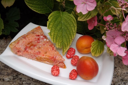 Dessert casher, recette cashère :Clafoutis aux pralines roses et aux abricots