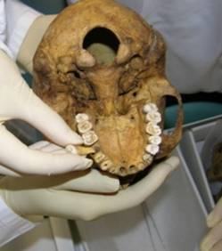 Des dents de momies pour étudier le climat d'Egypte antique